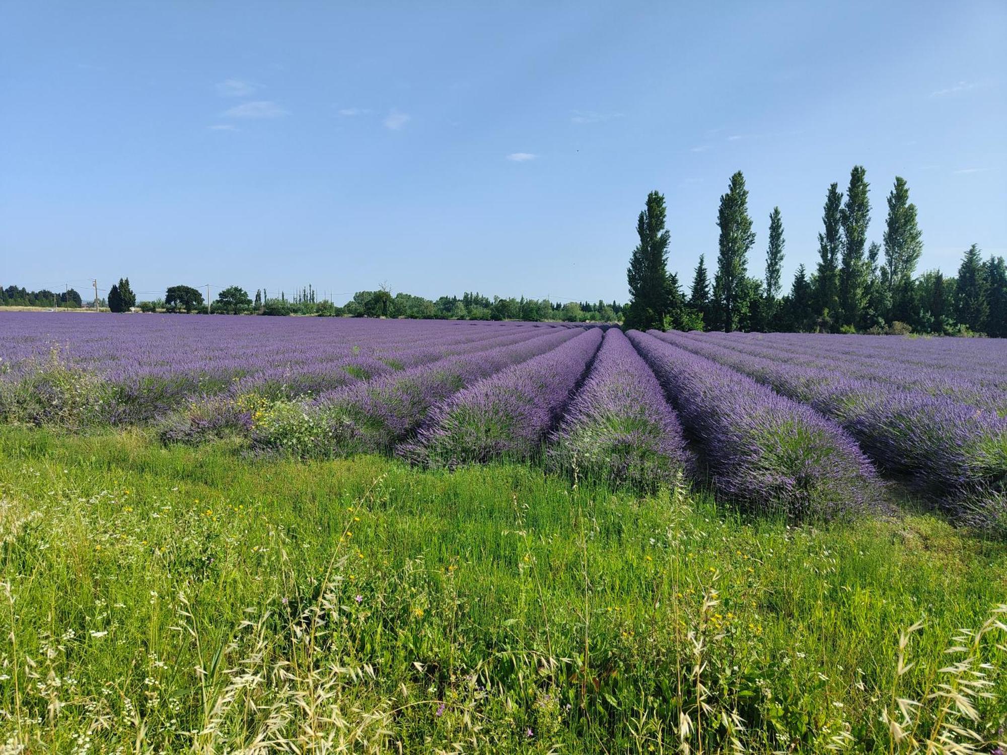 Maisonnette Provencale Villa Courthezon